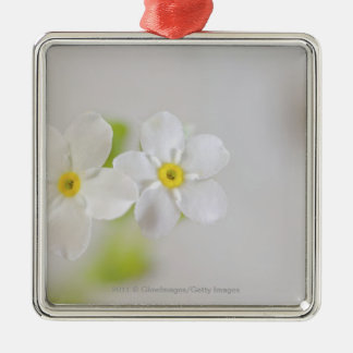 Ornamento De Metal Fim-acima das flores