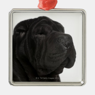 Ornamento De Metal Fim-acima de Shar Pei (bebê de um ano)