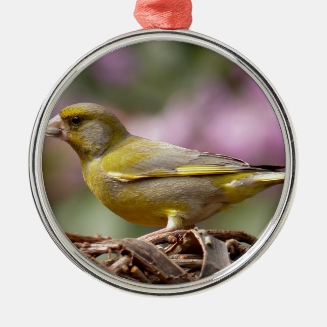 Ornamento De Metal Finch Verde (Frente)
