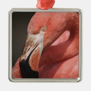 Ornamento De Metal Flamingo chileno, Phoenicopterus chilensis