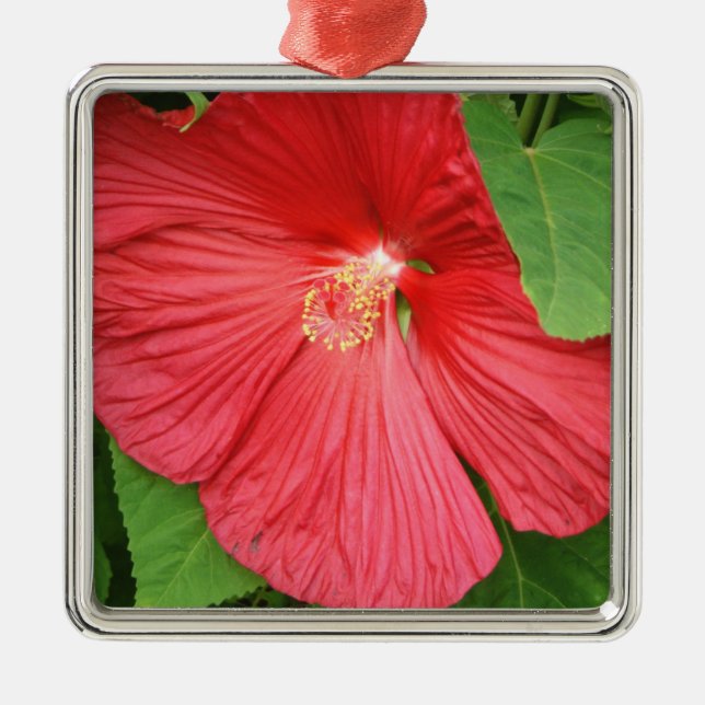 Ornamento De Metal Flor Brilhante Magenta Hibiscus Floral (Frente)