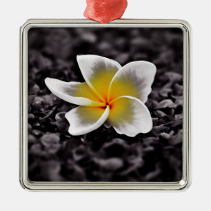 Ornamento De Metal Flor de Havaí do Frangipani do Plumeria