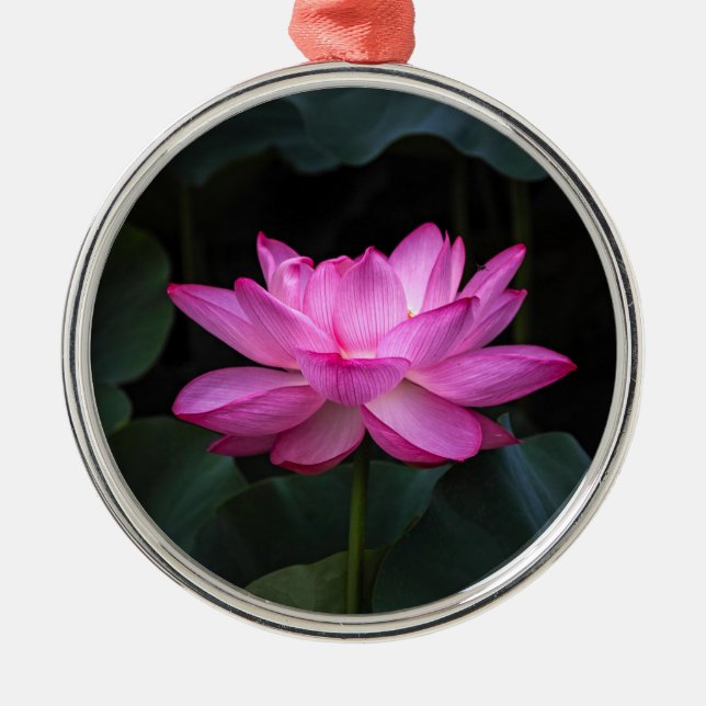 Ornamento De Metal Flor de Lotus (Frente)