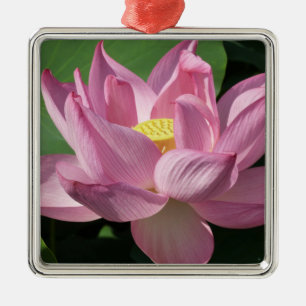 Ornamento De Metal Flor de Lotus Rosa IV