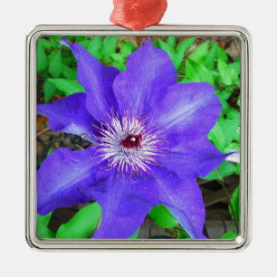 Ornamento De Metal Flor do Clematis roxo