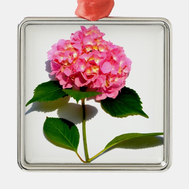 Ornamento De Metal Flor rosa, cor-de-rosa, hydrangea, cor-de-rosa (Frente)