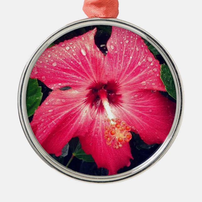 Ornamento De Metal Flor Tropical bonito (Frente)