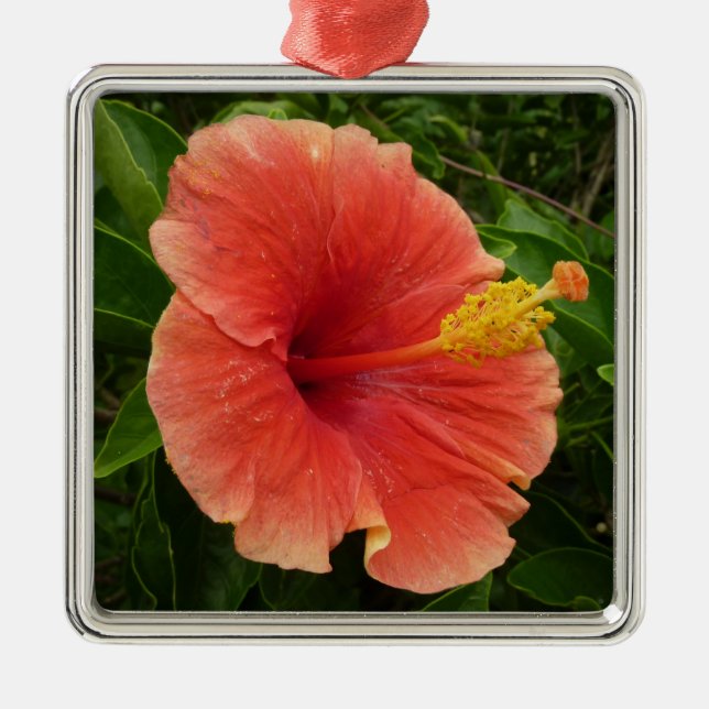 Ornamento De Metal Floral Tropical de Laranja Hibiscus (Frente)