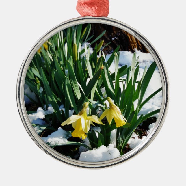 Ornamento De Metal Flores amarelas Daffodils na neve (Frente)