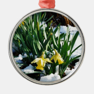 Ornamento De Metal Flores amarelas dos Daffodils na neve