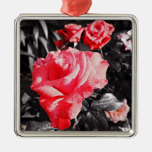 Ornamento De Metal Flores de Rosa Romântica #3 (Frente)