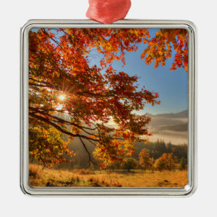 Ornamento De Metal Floresta do outono nas montanhas