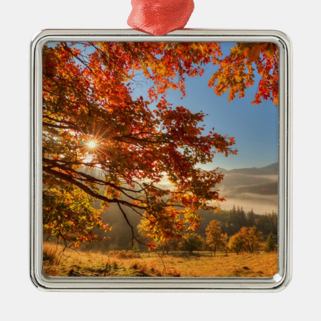 Ornamento De Metal Floresta do outono nas montanhas (Frente)