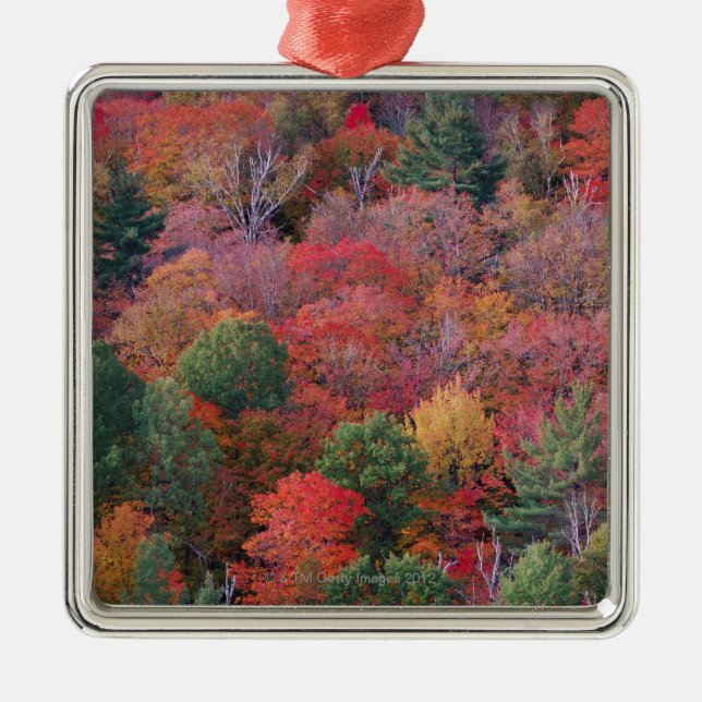 Ornamento De Metal Floresta no outono com folhagem de outono.  (Frente)