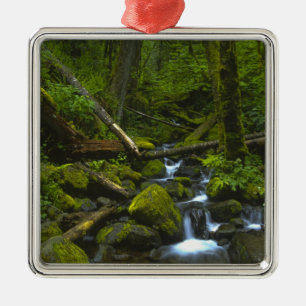 Ornamento De Metal Floresta Tropical Temperada em Columbia River