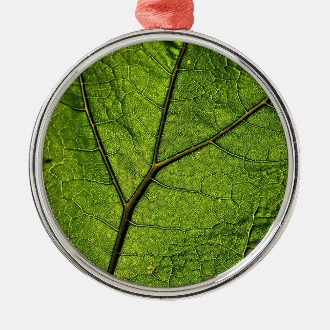 Ornamento De Metal Folha de Borboleta Verde (Frente)