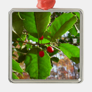 Ornamento De Metal Folhas de Azevinho II Natureza Botânica de Feriado