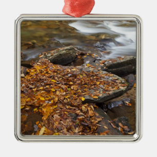 Ornamento De Metal Folhas de outono ao longo do Looking Glass Creek n