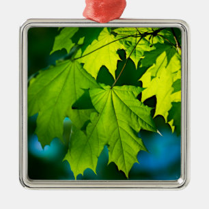 Ornamento De Metal Folhas frescas de mapeamento verde