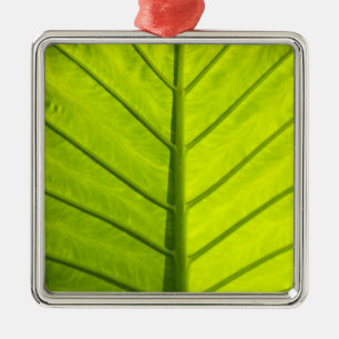 Ornamento De Metal Folhas verdes com veias da folhagem tropical em