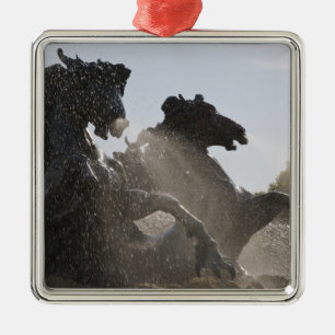 Ornamento De Metal Fonte, Monument des Girondins, Bordeaux,