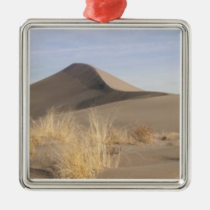 Ornamento De Metal Formações de dunas de areia. Bruneau Dunes State P