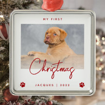 Foto Cachorro 1 rua Pata de Natal Imprime Vermelho