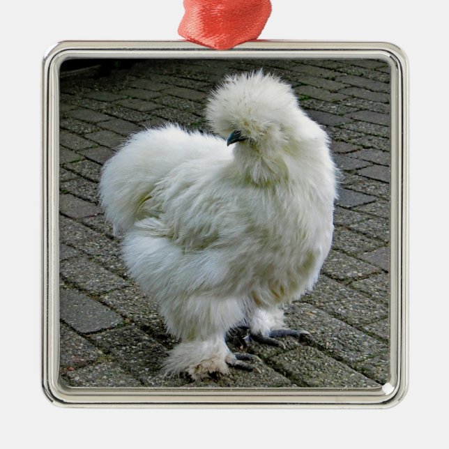 Ornamento De Metal Foto de frango branco Silkie (Frente)