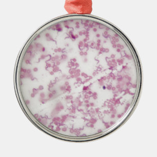 Ornamento De Metal Foto do microscópio do sangue humano com