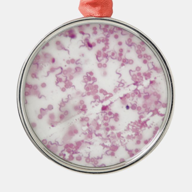 Ornamento De Metal Foto do microscópio do sangue humano com (Frente)