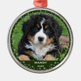 Ornamento De Metal Foto do nome de estimação de flocos de neve natal