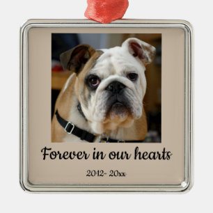 Ornamento De Metal Foto Personalizada com Data Bulldog em Memória