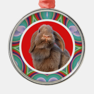 Ornamento De Metal Foto Personalizada de Coelho Holland Lop com Arco-