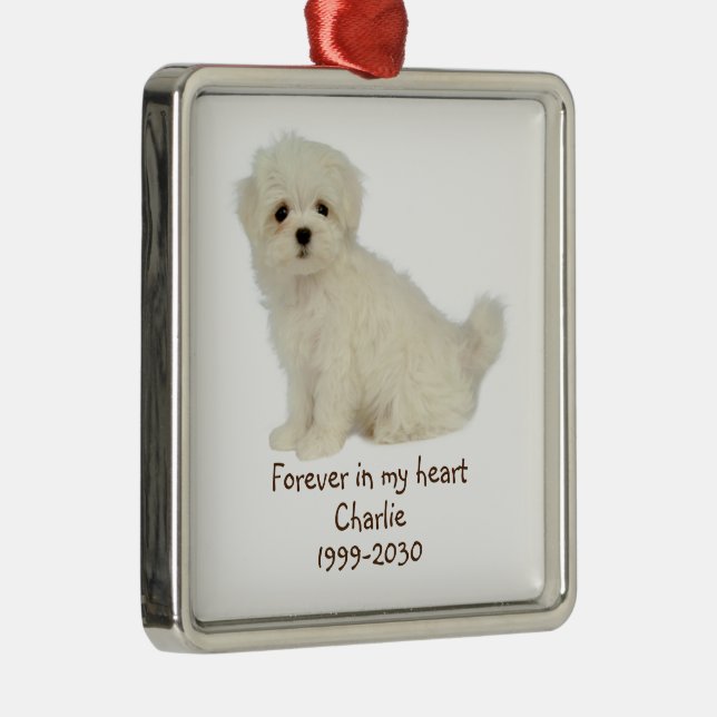 Ornamento De Metal Foto personalizada Memorial Keepsasasaket Pet Dog  (Direito )