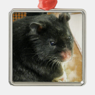 Ornamento De Metal Foto preta do hamster