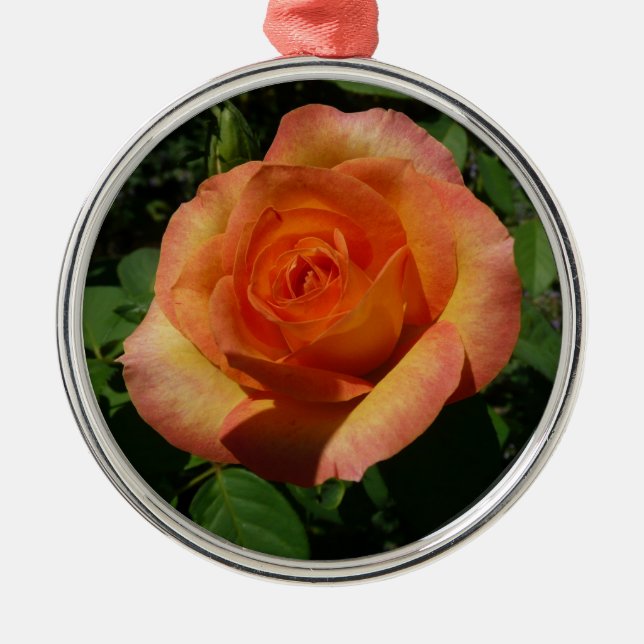 Ornamento De Metal Fotografia Floral Laranja Peach Rosa (Frente)