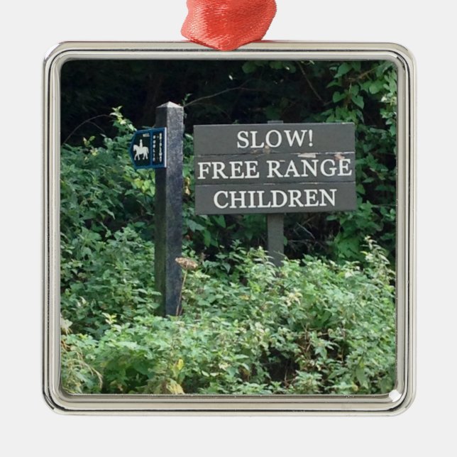 Ornamento De Metal Free Range Children sign, divertido (Frente)