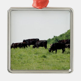 Ornamento De Metal Gado Angus preto