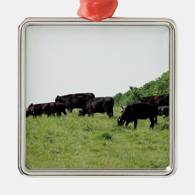 Ornamento De Metal Gado Angus preto (Frente)