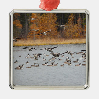 Ornamento De Metal Gansos canadenses que entram para uma aterragem