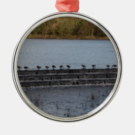 Ornamento De Metal Gansos do Canadá Todos em uma Linha
