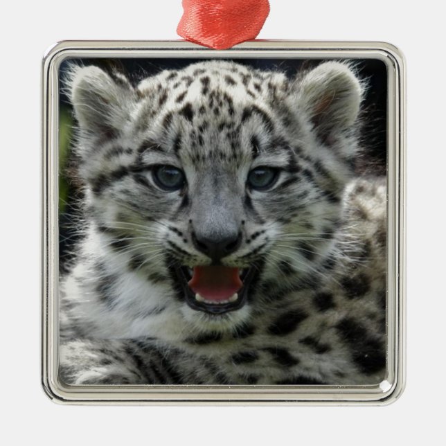 Ornamento De Metal Gatinho do leopardo de neve (Frente)