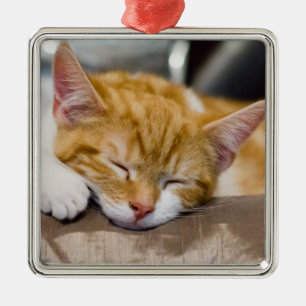 Ornamento De Metal Gatinho Gato