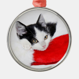 Ornamento De Metal Gatinho giro em Santa Hat