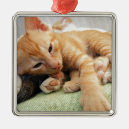 Ornamento De Metal Gatinho Listrado de Tigre Fofo