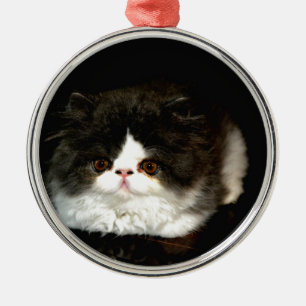 Ornamento De Metal Gatinho preto e branco