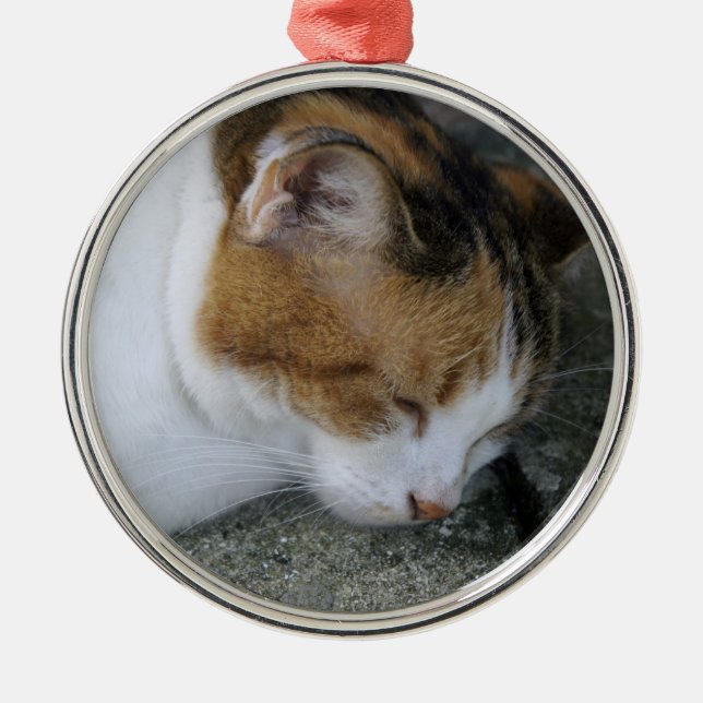 Ornamento De Metal Gatinho sonolento (Frente)