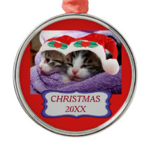 Gatinhos com chapéus de Papai Noel Vermelho no Nat