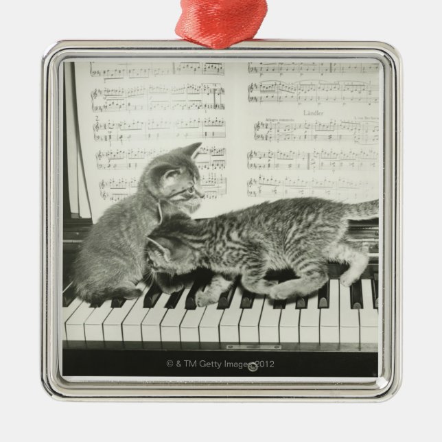 Ornamento De Metal Gatinhos que jogam o piano (Frente)