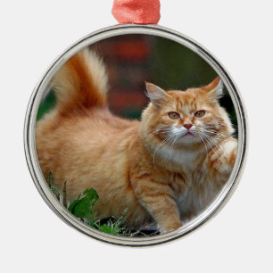 Ornamento De Metal Gato alaranjado gordo grande